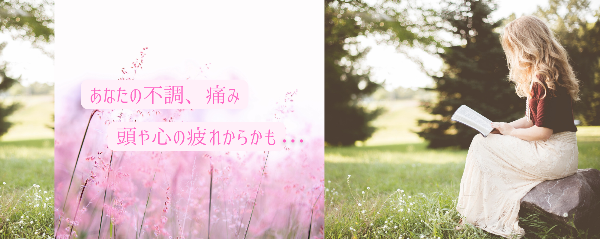 自然写真
